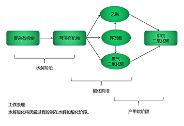 水解酸化係（xì）統